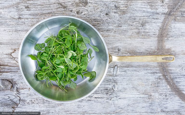 Portulak und Postelein – zwei entfernte Verwandte