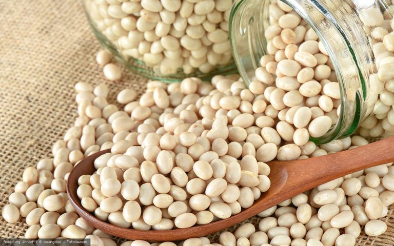 Die Sojabohne: Freund oder Feind?