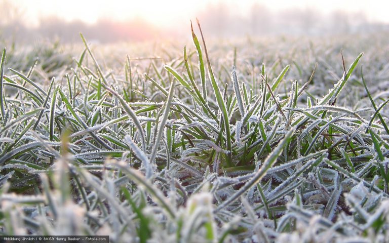 Trübe Gedanken adé – vorweihnachtliche Stimmungsaufheller für graue Tage