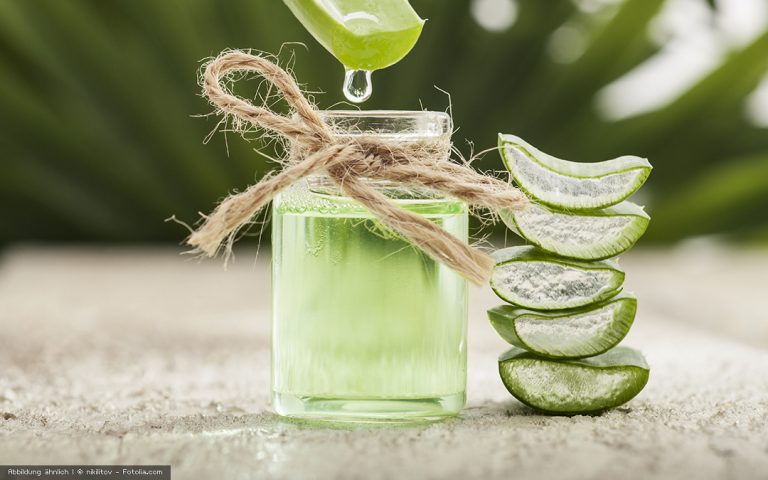 Green Star Elite Rezept: frischer grüner Saft mit Vogelmiere und Aloe Vera