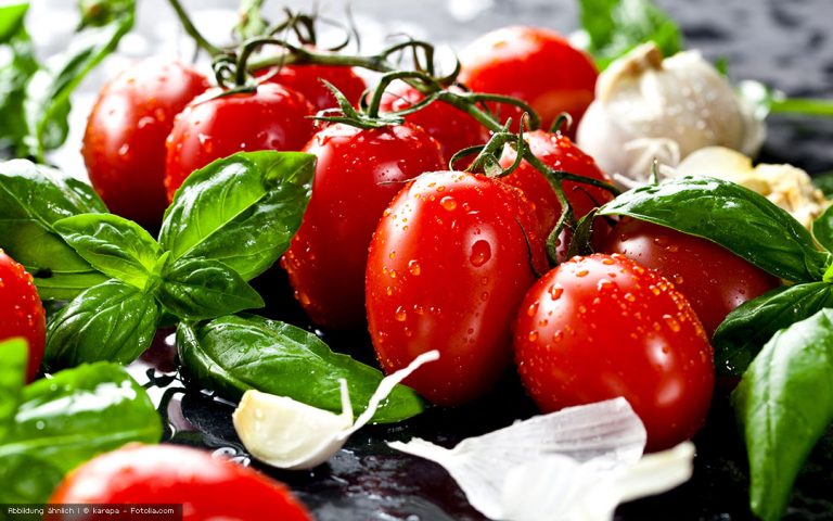 Mozzarella aus Cashewkernen und Flohsamenschalen