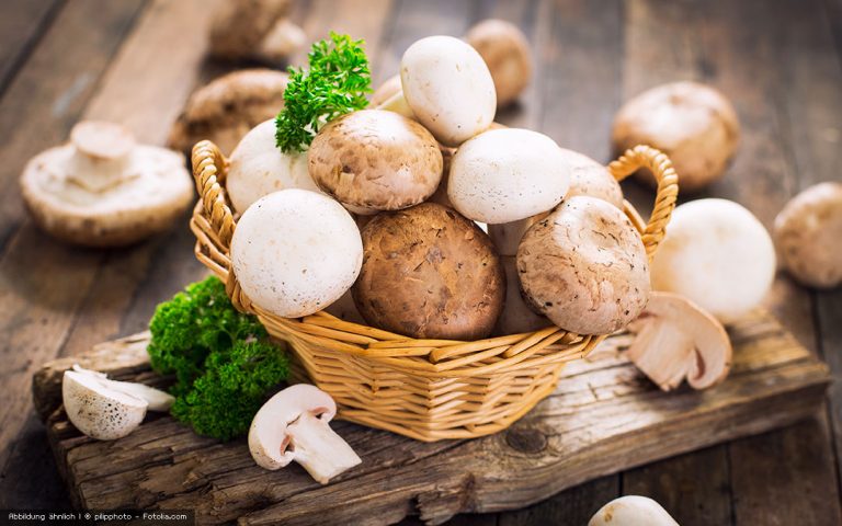 Der Champignon – ein Allrounder der Rohkost-Küche