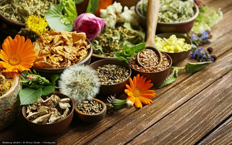 Top 5 Gewürze, die in keiner Rohkost Küche fehlen dürfen