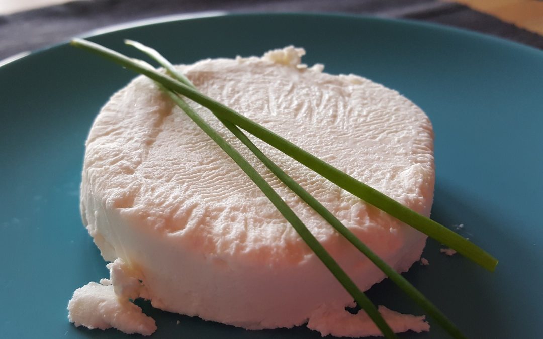 Vegane Camembert Käse Alternative von Christian Wenzel