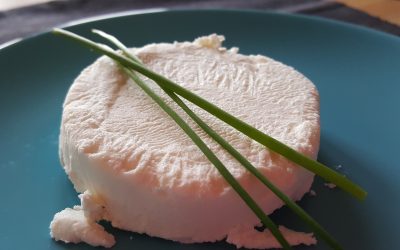 Vegane Camembert Käse Alternative von Christian Wenzel
